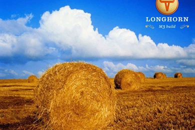 Longhorn Wallpapers Wallpapers Cave