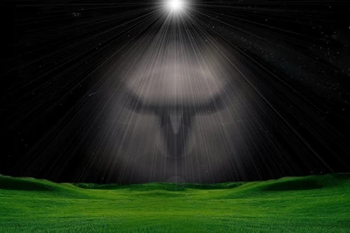 Longhorn Butterfly :: Windows Wallpapers :: ShareWallpapers