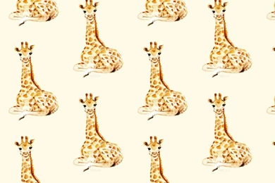 Resting Giraffe iPhone Wallpapers   Animal Wallpapers