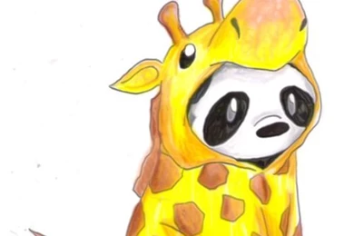 Wallpapers On Pinterest