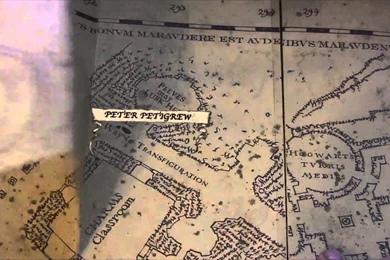 Harry Potter Marauder's Map Footsteps   YouTube