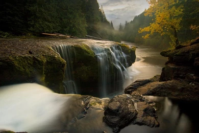 Wild River Forest   Computer Wallpapers Computer Desktop Wallpapers ...