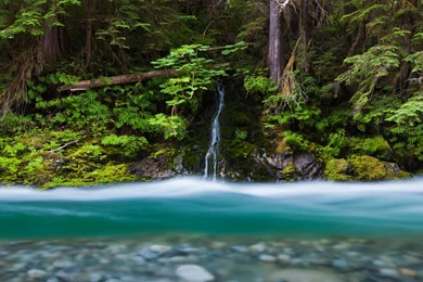 Bacon Creek, Mount Baker Snoqualmie National Forest, Washington ...