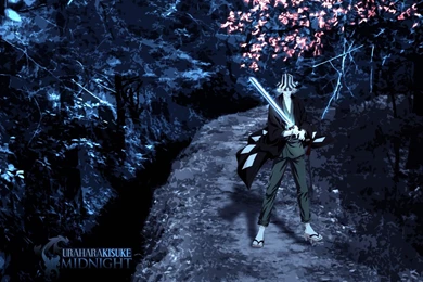 Bleach Anime Wallpapers