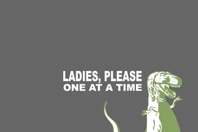 Funny High Resolution Wallpapers 3