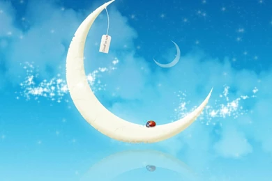 iPad Animated Wallpapers