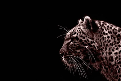 Animals Jaguars 1920×1080 Wallpapers 878358