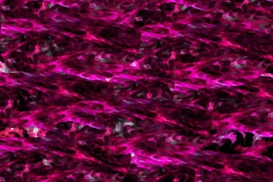 Hot Pink Background Images   Wallpapers Zone