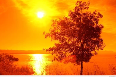 Summer Backgrounds And Wallpapers Hd 2015 2016