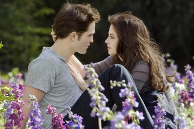 The Twilight Saga Breaking Dawn Part 2