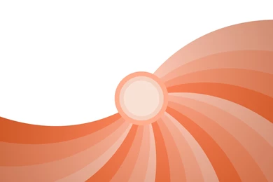 Mr. Sun 's / Onjeong / Rotation