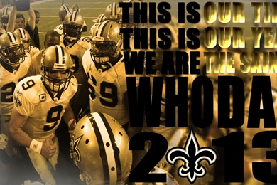 New Orleans Saints 2013