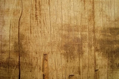 Wood Texture   Free Large Images