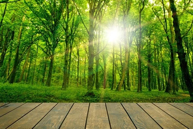 Wallpapers Adhesive Picture   More Detailed Picture About Free ...