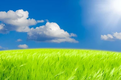 Nature Bliss Live Wallpapers   Android Apps On Google Play