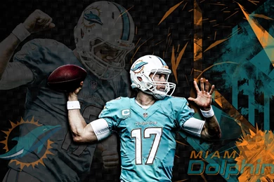 T Hizzy Wallpapers : Miamidolphins