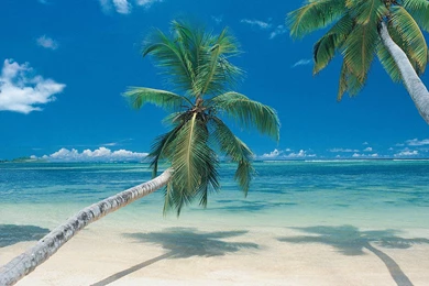 Beach Wallpapers Scenes   Wallpapers Zone