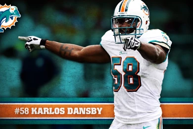 Miami Dolphins Wallpapers