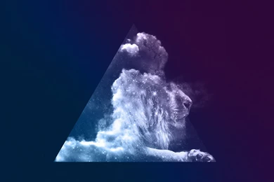 The Desktop Wallpapers Project Featuring Drew Turner