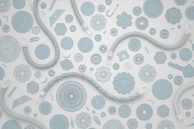 The Desktop Wallpapers Project By The Fox Is Black