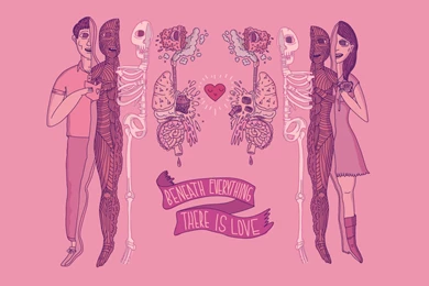 The Desktop Wallpapers Project By The Fox Is Black