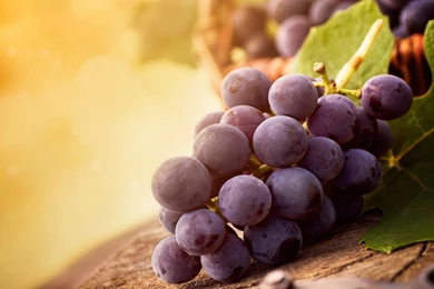 Grape Wallpapers HD
