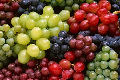 Grape Wallpapers HD