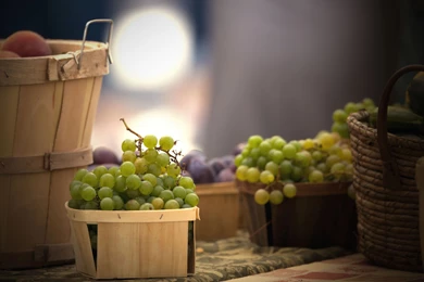 1680x1050px Grape Browser Themes & Desktop Picture