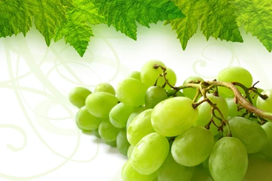 Grape Computer Wallpapers, Desktop Backgrounds