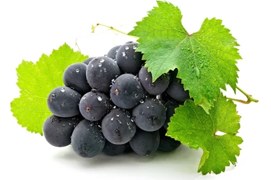 Fresh Grapes Wallpapers Widescreen