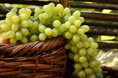 Grape – HD Wallpaper, Wallpapers Pics   The Best Wallpapers
