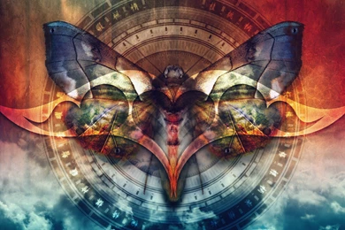 Butterfly Wallpapers