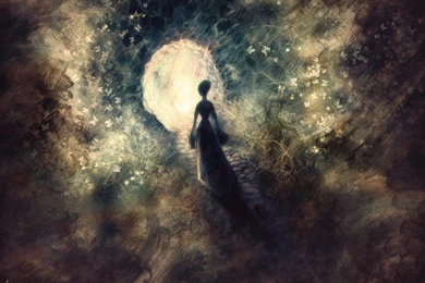 Butterfly,abstract Abstract Butterfly Artwork 1280x960 Wallpapers ...