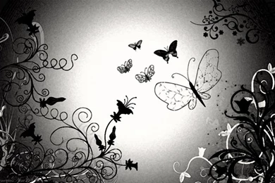 Butterfly Wallpapers Black And White Wallpaper,abstract HD ...