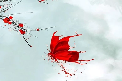 Red Butterfly Abstract Art Wallpapers Free Desktop Backgrounds And ...
