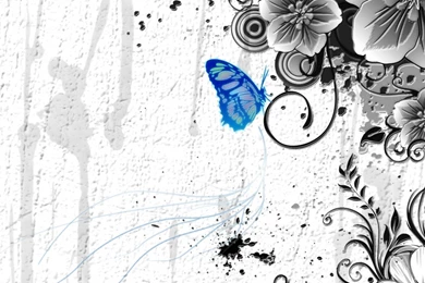 Butterfly Animals Abstract Wallpapers