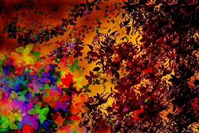 Download 1600x900 Abstract Butterfly Design Wallpapers