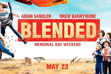Blended 2014 Movie