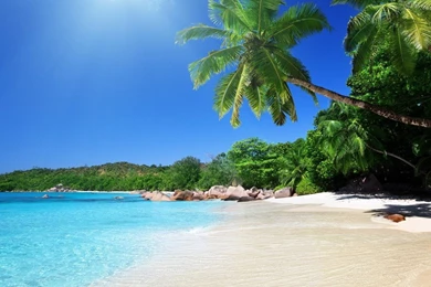 Beach Wallpapers 18 Best Wallpapers Collection