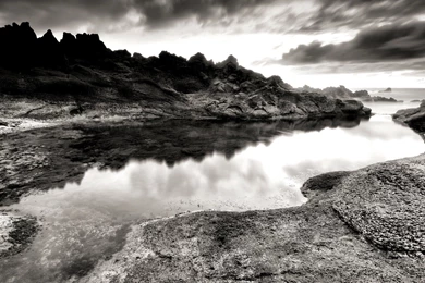 Nature, Background, White, Black (