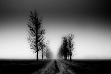 Nature Road Wallpapers Black And White