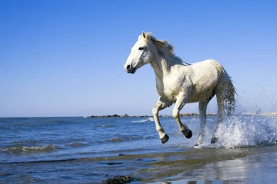 1920x1080   Page 1586