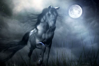 Fantasy Horse Wallpapers