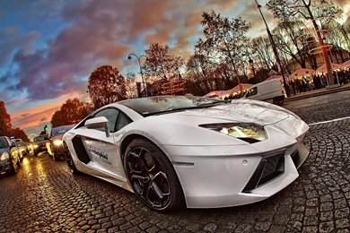 Lamborghini Italian Car On Hd Wallpaper Backgrounds For Desktop Hd ...