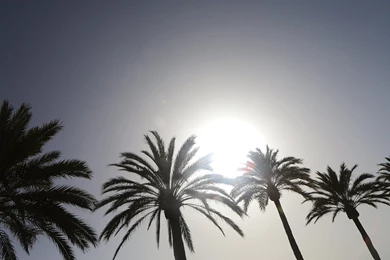 Thewallpaper, 27118, Wallpapers For Couples, Beauty, Love Is Good ...