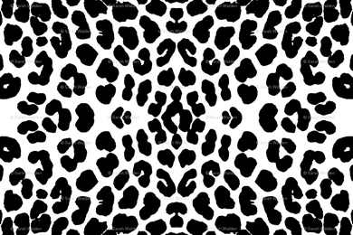 White Leopard Wallpapers   Wallpapers Cave