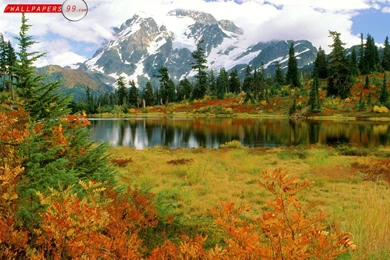 Fall Colors Wallpapers Picture Image 1600x1200 5525