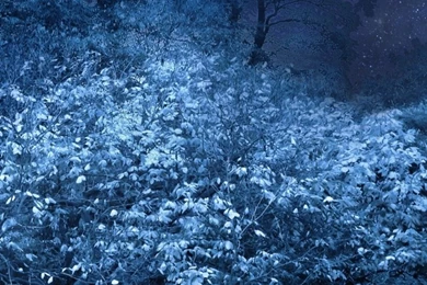 Download Wallpapers 720x1280 Night, Bench, Park, Trees, Stars, Full ...