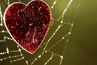 Love TrapSamsung Wallpapers Download