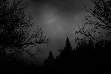 Pins For: Doom Metal From Pinterest